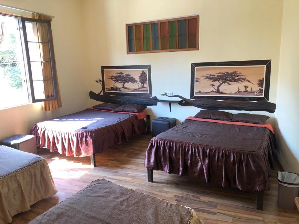 Hostal Huacachina Sunset Ica Zewnętrze zdjęcie